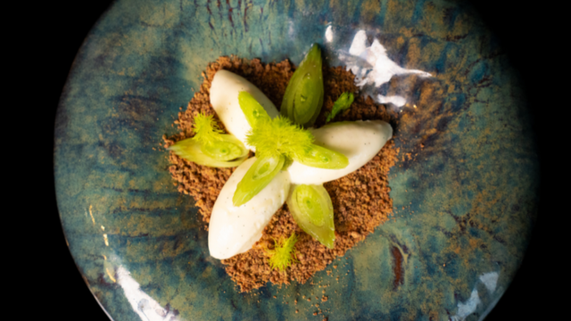 Dessert with Celeriac, Feather Tops and White Chocolate