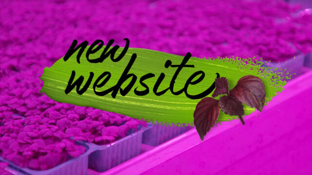 Koppert Cress launches new website with refined taste