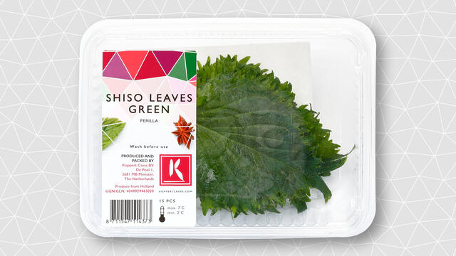 What is shiso leaf