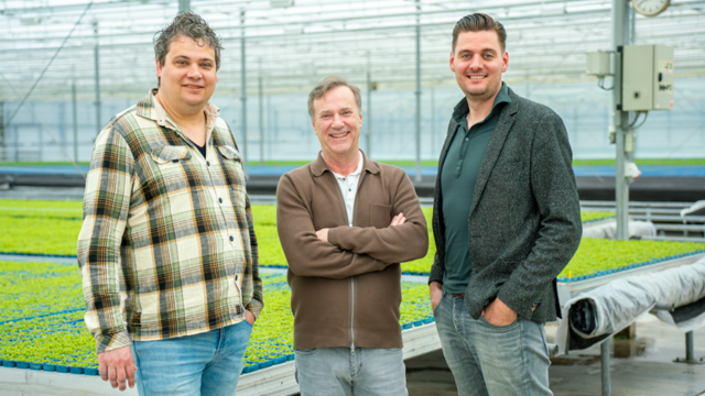 Innovative air-to-growth: Koppert Cress sets new standard with DAC technology in greenhouses