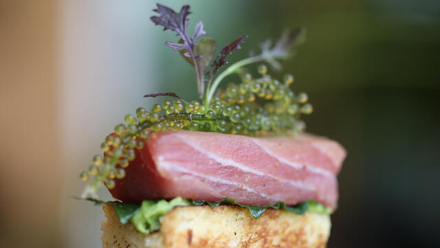 Tuna, Avocado, Shiso Leaves Green, Toast