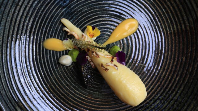 Parsnip, cress, charcoal mustard