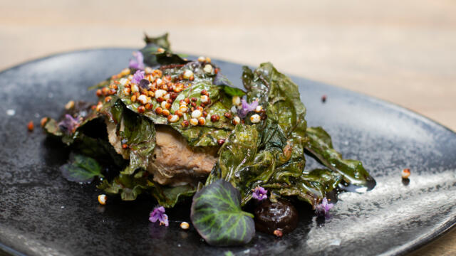 Rillette van varkensvlees en gin met krokante snijbiet, geroosterde quinoa en zwarte knoflook