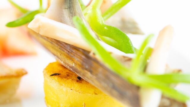 Sole, razor clam, crab