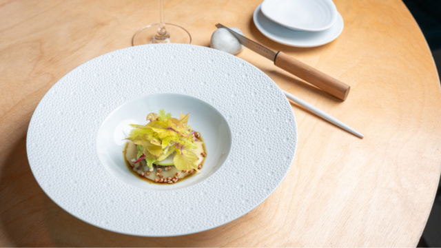 Koppert Cress launches dark-grown white vegetables part two