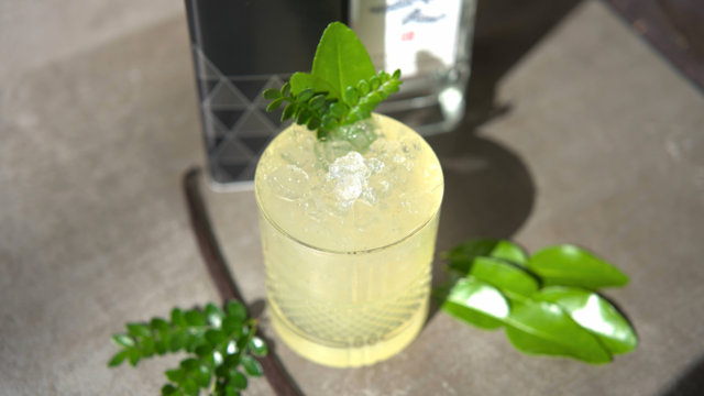 Sansho Kaffir Ginger Highball