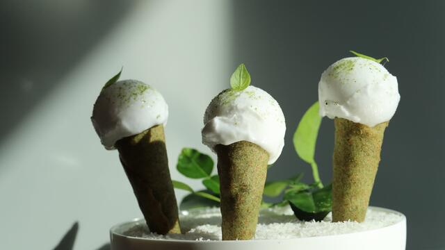 Coconut sorbet