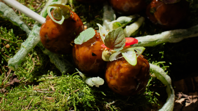 Tsukune (vegetarian) with Daikon, Mustard and Shiso Bicolor