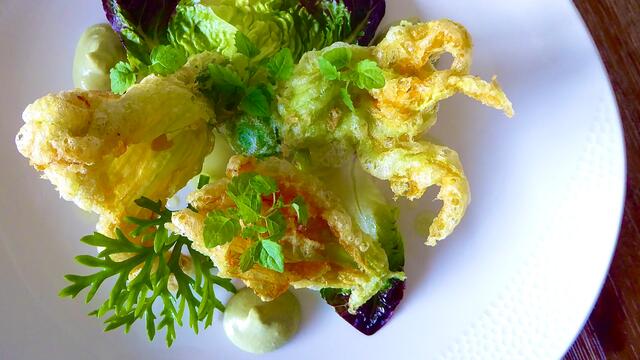 Fleurs de courgette tempura et tofu, humous a l’Atsina Cress