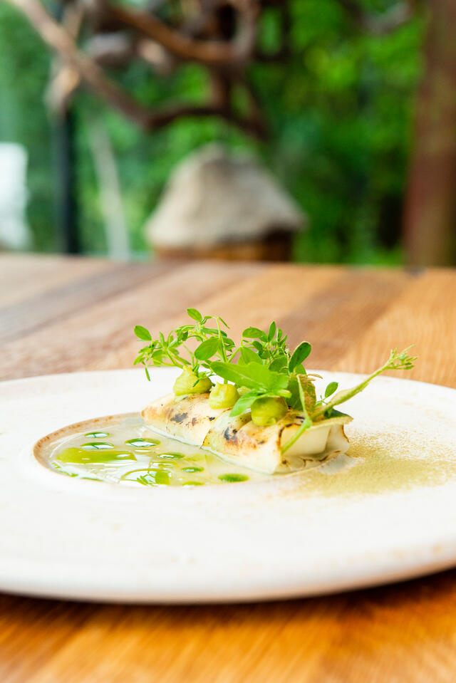 Chou-rave et fromage de chèvre, haricot soja, Salad Pea