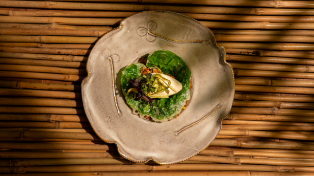 Langustinen-Eis mit Wasabi-Blatt-Tempura-Chips, Pistazien-Crumble und gebratenem Kombu