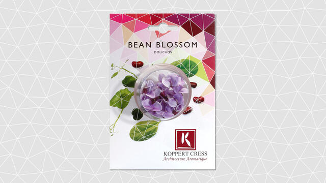 Bean Blossom Christmas 2022 Bean Blossom - Koppert Cress