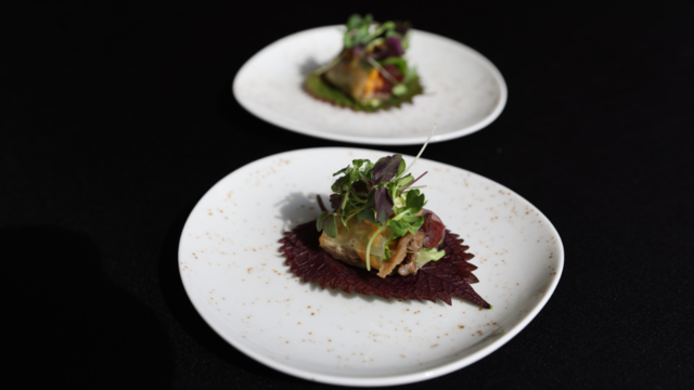 Springrol with Shiso Leaves Bicolor and Tokyo Taste