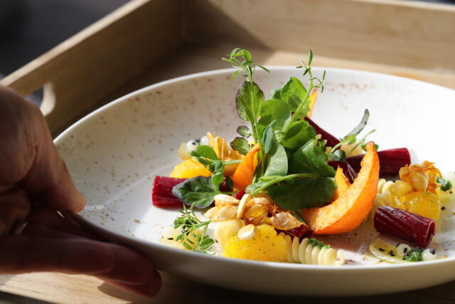 Cress Koppert Global