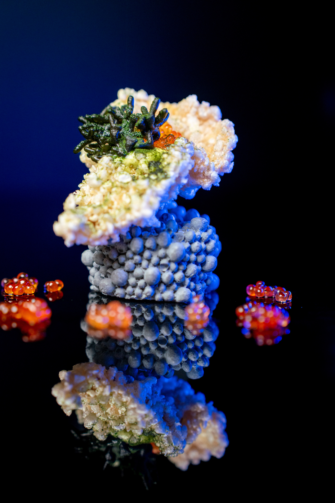 Oh My Codium - Koppert Cress