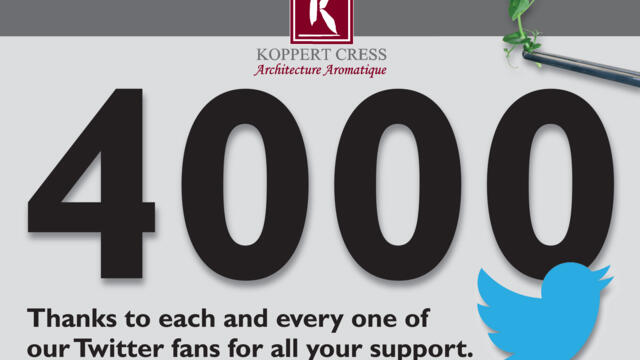 Mijlpaal: 4000 volgers op Twitter @koppertcress!