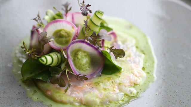 Langoustine, daikon, avocado