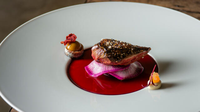 Pigeon breast Radicchio - risotto, anchovies, daikon and beetroot