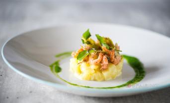 Horseradish, Potato, Grey Shrimp, Hippo Tops