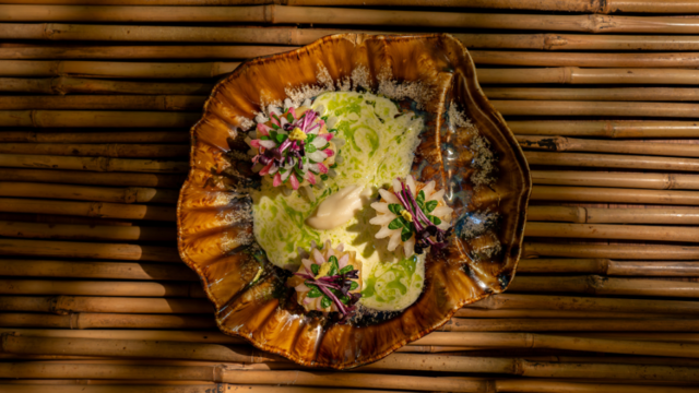 Sanft gebackene Jakobsmuscheln mit Daikon, grünen Shiso Leaves, Wasabi und Beurre blanc