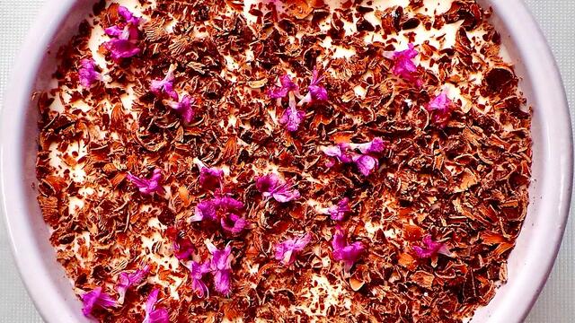 Blackcurrant tiramisu and Zallotti Blossom