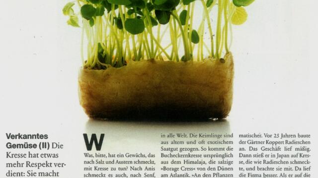 Koppert Cress im Süddeutsche Zeitung Magazin