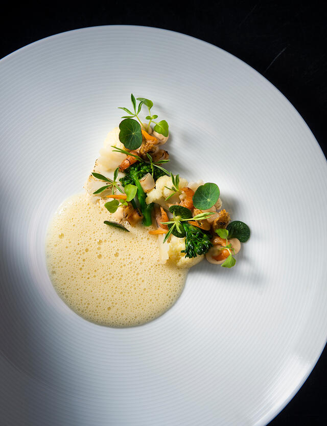 North Sea mussels and shrimps, Zorri Cress, Lupine Cress