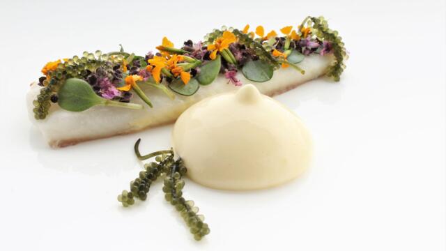 Turbot with herbs, lemon juice and Moai Caviar