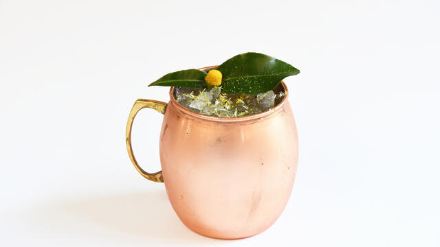 Rodeo Mule