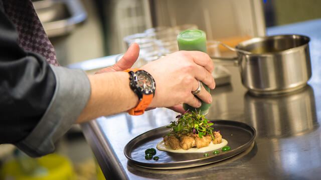 Travel Stories Koppert Cress