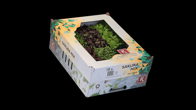 Børns dag det samme Nordamerika Sakura Mix - Koppert Cress