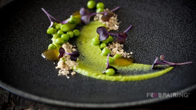 Sakura Cress - apricot - pea - coffee