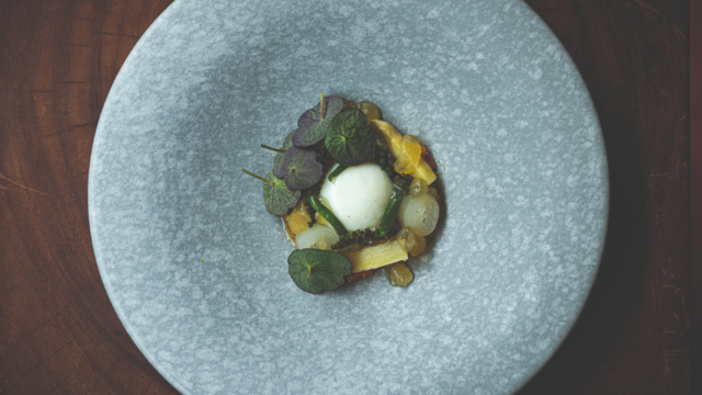 Carrot Tartare