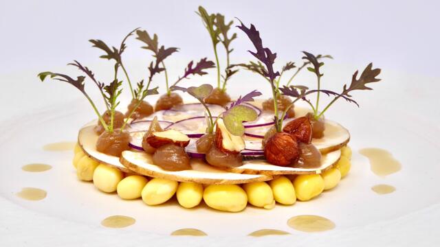 Champignons, sojabonen, radijs en kastanjepuree