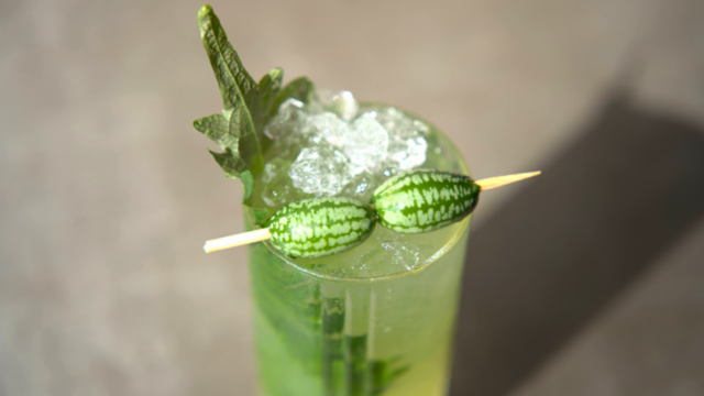 Shiso Pepquiño Spritz