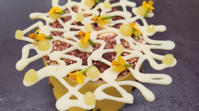 White chocolate mango pineapple petit gateaux