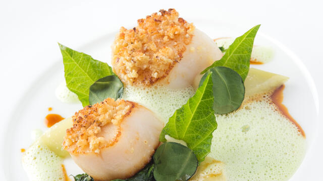 Scallop, Salad Pea, hazelnut, poultry stock