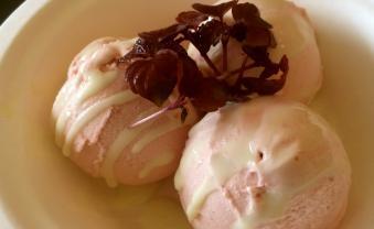 Pruimen ijs met Wasabi en Shiso