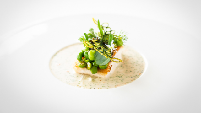 Trout, Asparagus, Oyster Leaves, Green Peas, and BlinQ Blossom