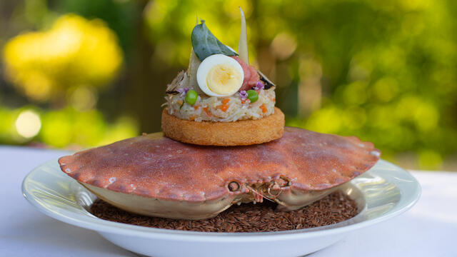 Canapé van krabsalade met Oyster Leaves en kalfstartaar met Zallotti Blossom
