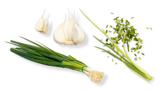 Allium iranicum - Wikipedia