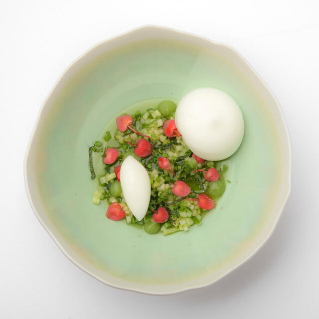 Gelée de concombre, Apple Blossom, Granny Smith, sorbet citron jaune