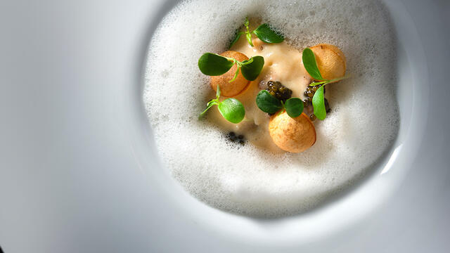 North Sea crab and Tahoon Cress