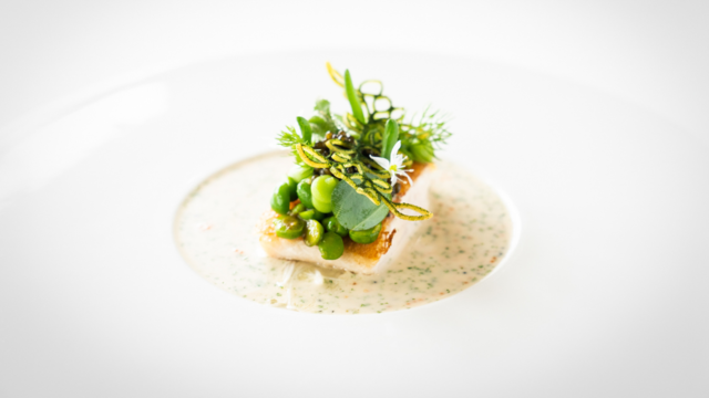 Truite, Asperge, Oyster Leaves, Petits pois et BlinQ Blossom