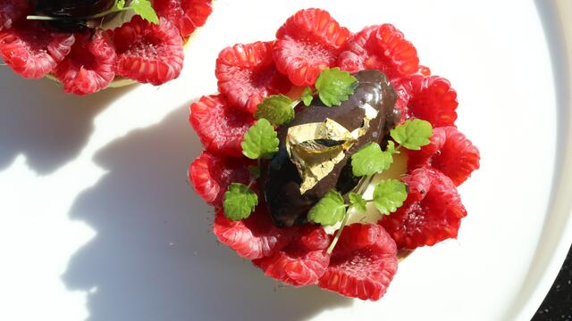 Tartlet