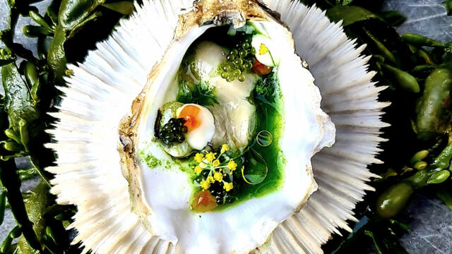 Oyster, dill, salmon egg