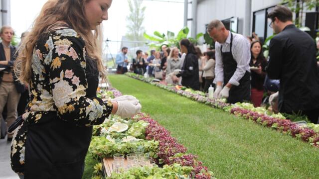 Koppert Cress presenteert zich aan EU delegatie