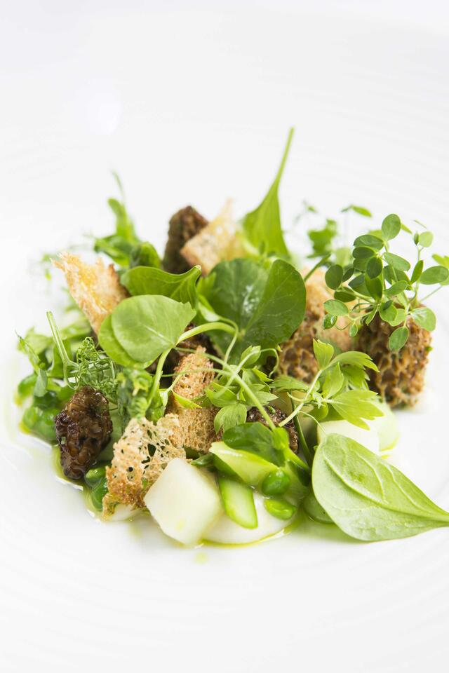 Morilles, dernières asperges vertes, petit pois, persil