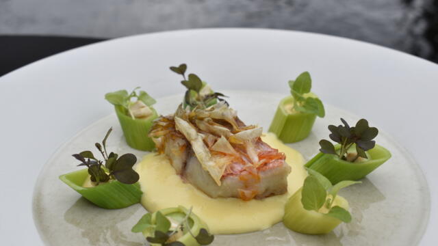 Rotbarbe, Misocreme, Sechuan Cress, Lauch