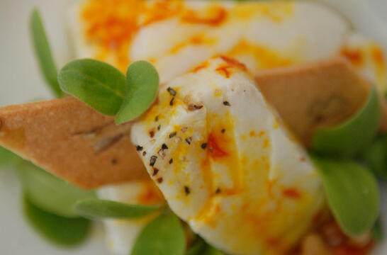 Poached Cod in Lemon Juice on Pesto with Tomato Concasse
